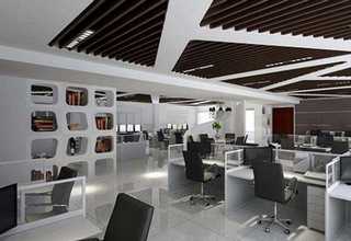 内蒙古芬德生物黄曲霉B1检测试剂盒