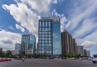 南通好养的绿植公司