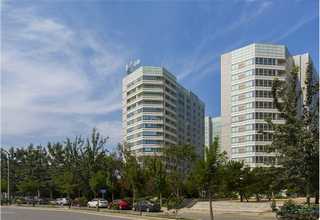 深圳树苗批发市场