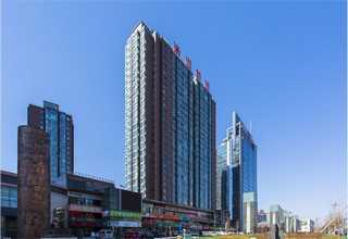 山东狼尾草草种