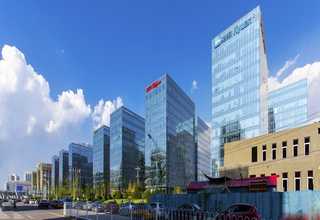 杨浦区商用绿植租赁公司