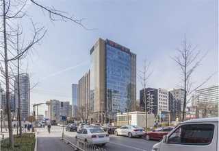 上海创意蜂巢纸厂家价格